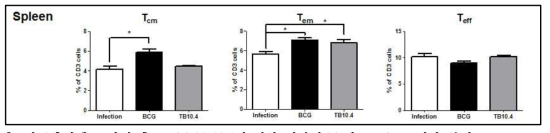 결핵균 감염 후 KVAC-TB10.4에 의한 비장의 T 세포 subset 변화 분석