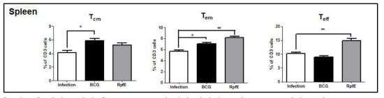결핵균 감염 후 KVAC-RpfE에 의한 비장의 T 세포 subset 변화 분석