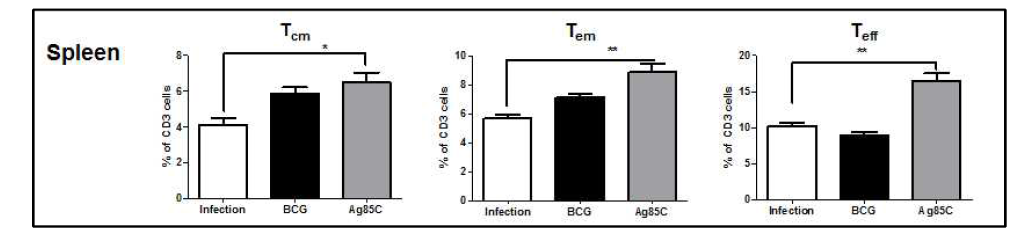 결핵균 감염 후 KVAC-Ag85C에 의한 비장의 T 세포 subset 변화 분석