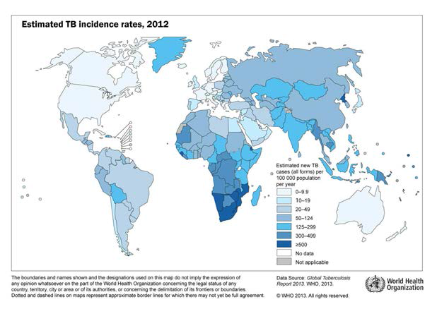 전 세계 결핵 발생 현황