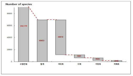 곤충 목별 종수 분석