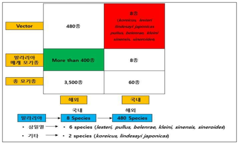Anopheles 계열 Insect&Specimen Resource Strategy