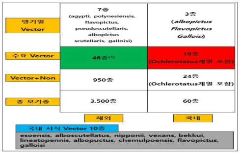 Aedes 계열 Insect&Specimen Resource Strategy