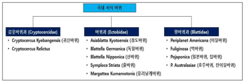 국내 서식 바퀴 현황