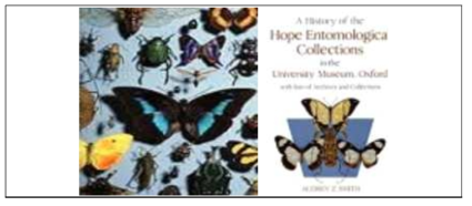 좌 : 곤충 자원 보관 현황 우 : Hope Entomological Collections