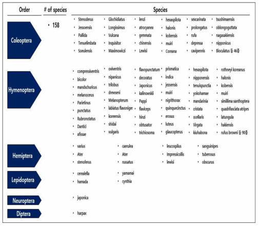 국내 천적곤충의 종류와 수