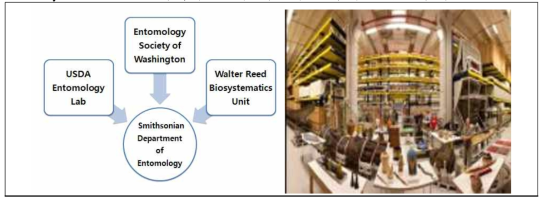 좌: USDA Entomology Lab, Entomology Society of Washington, Walter Reed Biosystematics Unit 관계도, 우 : 스미소니언 박물관의 자원은행 신축 시설 ‘Pod 4