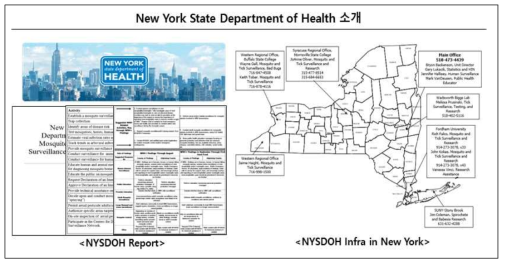 NYSDOH 소개