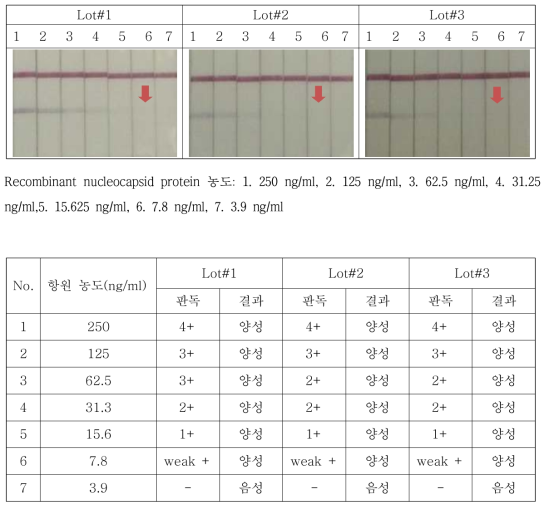 최적화된 MERS-CoV Ag kit의 3 lot 생산 및 검출한계 비교