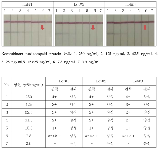 최적화된 MERS-CoV Ag kit의 3 lot 생산 및 검출한계 비교