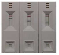 Multiplex PCR-ICA kit의 각 pcr product에 대한 양성반응