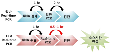 일반 Real-time PCR 및 Fast Real-time PCR 비교