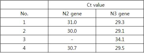 N gene primer/probe 비교결과 Ct값