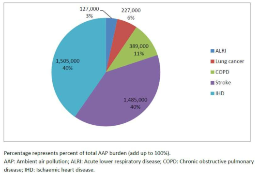 대기오염으로 인한 질병별 사망수