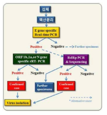 중동호흡기증후군 실험실 진단 흐름도
