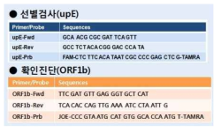 다중 실시간 유전자 검사법 개발을 위한 ORF1b 진단법 개선