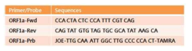 ORF1a 실시간 유전자 진단법의 primer와 probe