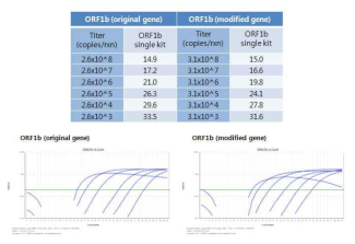 ORF1b original RNA transcript와 외래유전자 삽입된 RNA transcripts 결과 비교