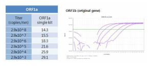 ORF1a RNA transcript 반응 결과