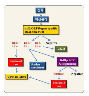 다중 실시간 유전자 검사법을 이용할 경우 유전자 검사 모식도