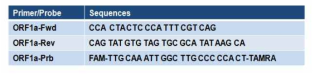 ORF1a 실시간 유전자 진단 검사법 Primer/Probe 염기서열