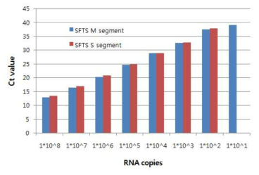 Calculation of RNA copies using Ct value of real-time RT-PCR