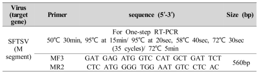 SFTSV M 분절 유전자 증폭에 이용된 프라이머 및 PCR 조건
