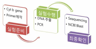 흡혈원 확인을 위한 실험 방법 도식