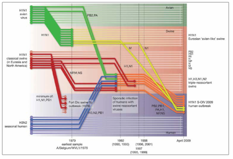 2009년 pH1N1 바이러스 유전자의 유래 숙주 및 시간적 유래 분석