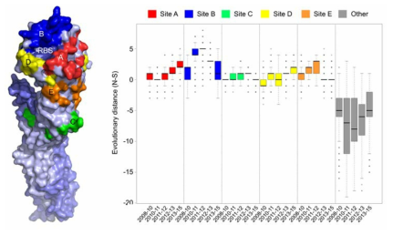 Evolutionary distance 분석: H3N2 바이러스 HA의 antigenic sites