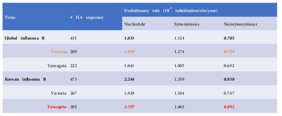 B형 인플루엔자 바이러스의 진화율 분석 결과