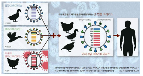 인플루엔자 변이 발생의 예