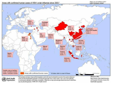 신종인플루엔자(H5N1) 세계적 유행
