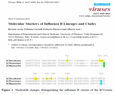 인플루엔자 B lineage 확인을 위한 sequence 분석논문
