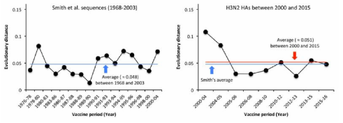 H3N2 바이러스 유행주에서 측정한 evolutionary distance 결과