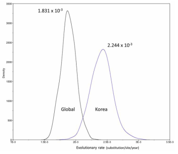 B형 인플루엔자 바이러스의 진화율(evolutionary rates) 비교·분석 결과