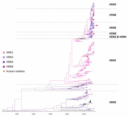 H5 아형 조류 인플루엔자 바이러스 HA 유전자의 분자계통학적 분석