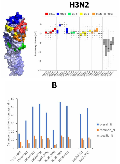 Evolutionary distance model: flexible to estimate amino acid mutations of different strains