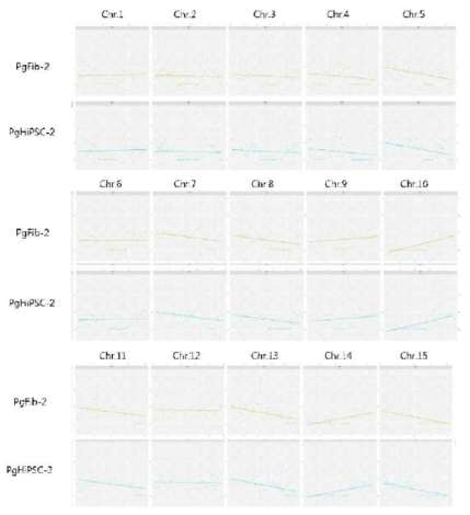 SNP array를 통한 PgFib-2와 PgHiPSC-2와의 동일성 검증