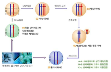 DNA 지문검사로 확인한 처녀생식