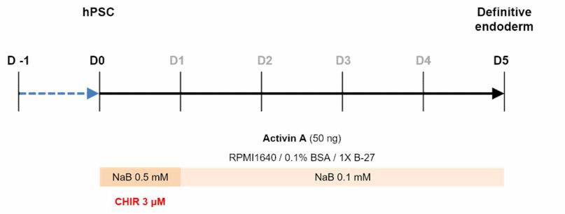 GSK-3I3 저해제를 추가한 내배엽 분화 유도 프로토콜 모식도