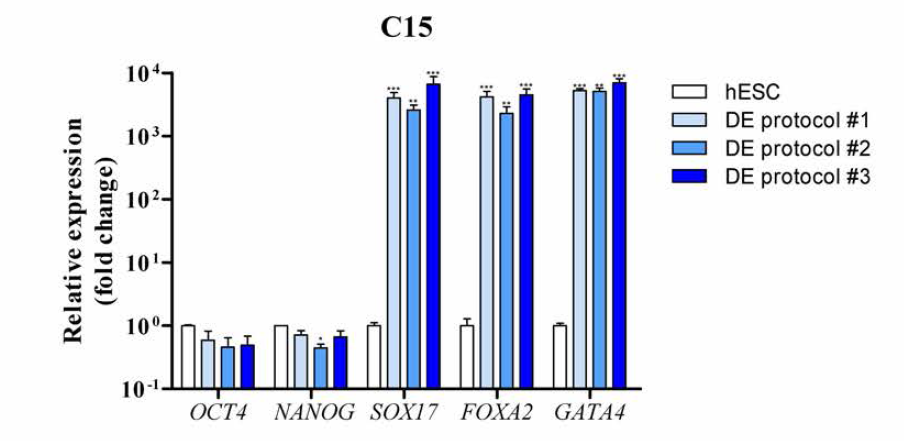 CHA-hES15 세포주로부터 분화된 내배엽 세포의 마커 유전자 발현분석.