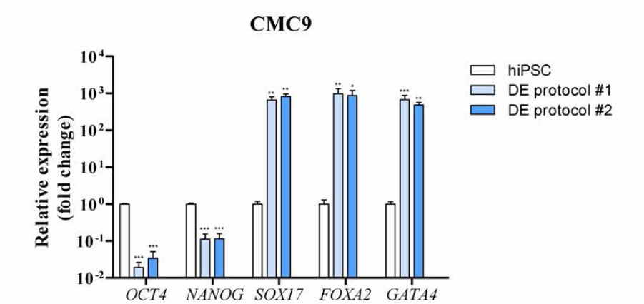 CMC-hiPSC-009 세포주로부터 분화된 내배엽 세포의 마커 유전자 발현 변화.