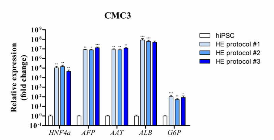 CMC-hiPSC-003 세포주로부터 분화된 간세포의 마커 유전자 발현 변화,