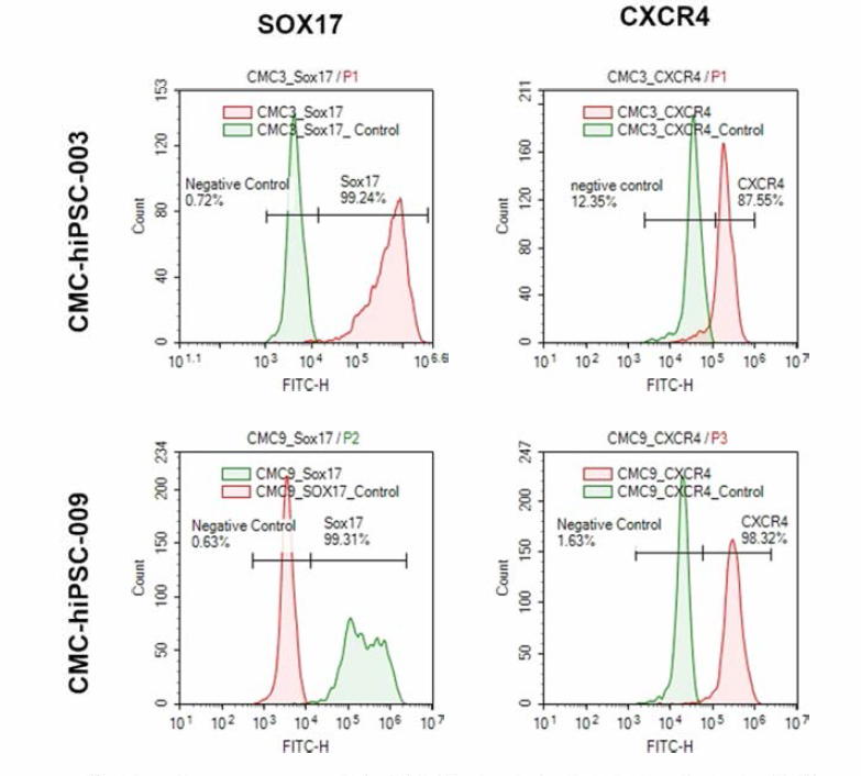 Flow cytometry를 이용한 CMC-hiPSC-003 및 -009 유래 내배엽 세포의 마커 단백질 분석.