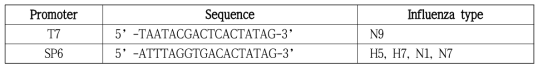 T7 or SP6 promoter sequence was fused with target sequences for molecular diagnostics of H5, H7, N1, N7, and N9 genes