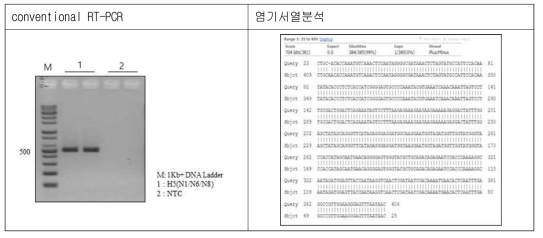 Conventional RT-PCR of H5(N1/N6/N8) RNA transcript and DNA sequencing of the product