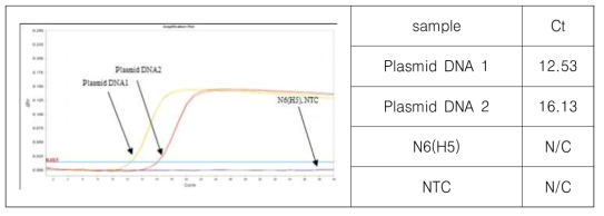 Test for the contamination of DNA template in N6 RNA transcript by real-time RT-PCR (RTase-free).