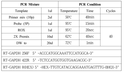 Reaction condition of realtime RT-PCR for RNA stability test