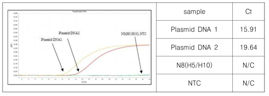 Test for the contamination of DNA template in N8 RNA transcript by real-time RT-PCR (RTase-free).